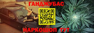 индика Ставрополь