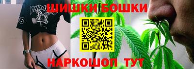 индика Ставрополь