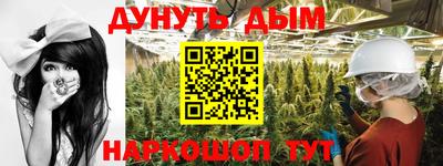 индика Ставрополь