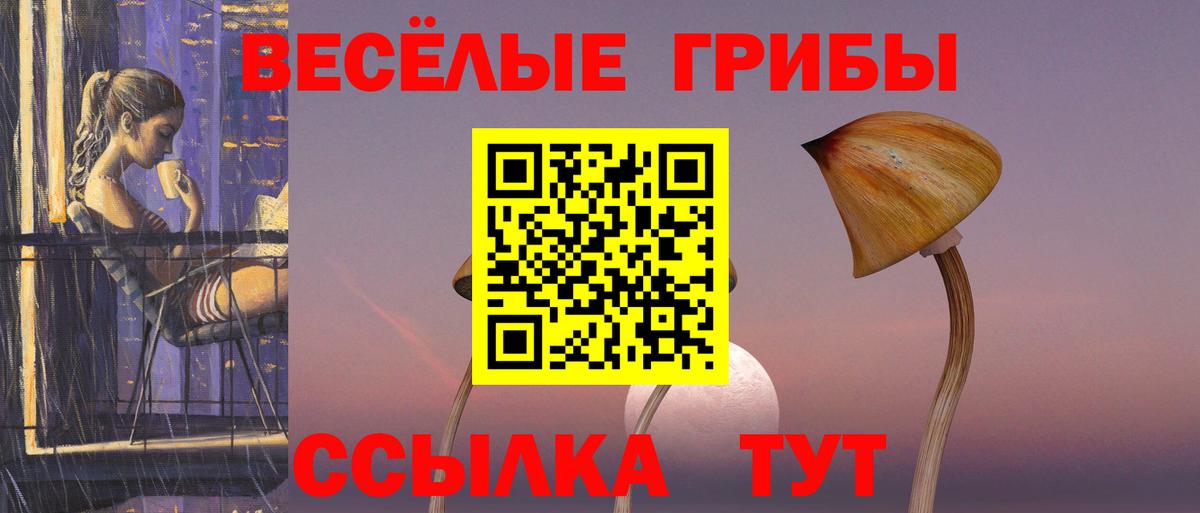 Псилоцибиновые грибы Cubensis Обнинск