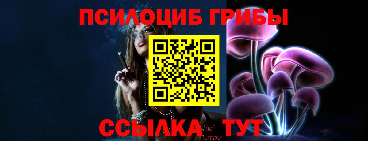 Галлюциногенные грибы прущие грибы  Вход с VPN  Галлюциногенные грибы Psilocybine cubensis  Обнинск 