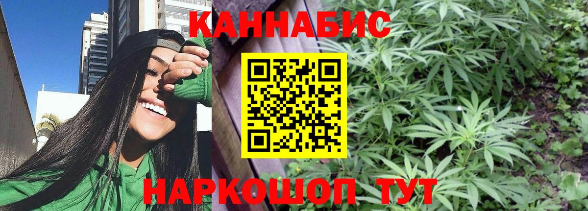 Канабис семена  Вход с VPN  Каннабис ГИДРОПОН  Бошки марихуана план  Обнинск  Канабис сатива 